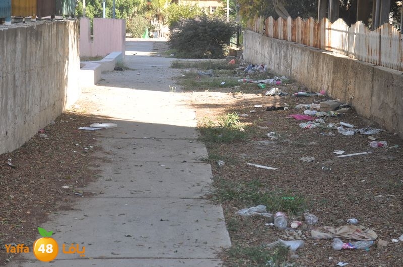 rawda narjes s111 (8).JPG